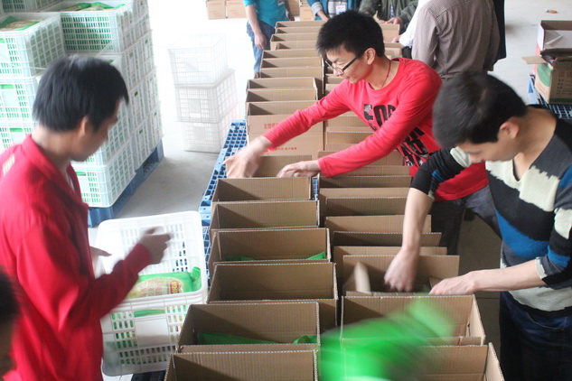 14TI54094410-1G394_lit