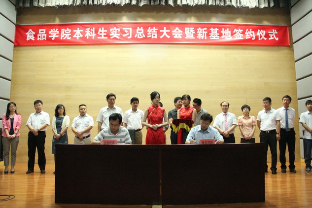 14TI54262T30-20T23_lit