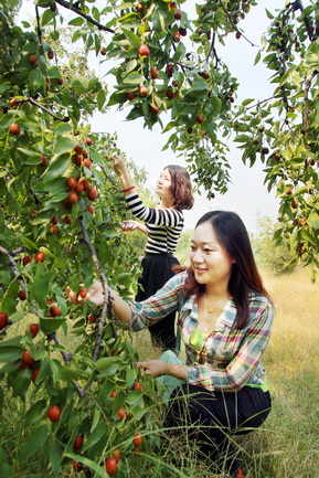 14TI5V564Q0-3U006_lit